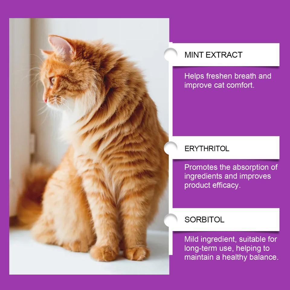 Pet Cat Daily Care Vitamin Supplement